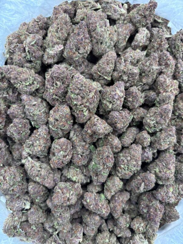 Tropicana Mint Strain