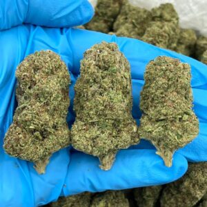 Banana Pugging Strain