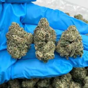 Elderberry Cake Strain