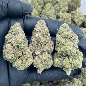 Glazed Cookies strain