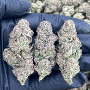 PEACHES & CREAM - AL1117PC