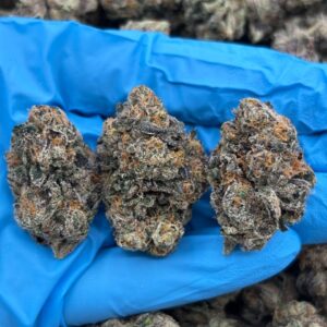 Blue Razz Cherry strain