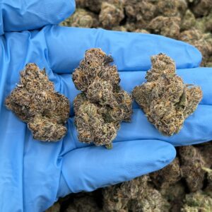 Blue Ring Popz Strain