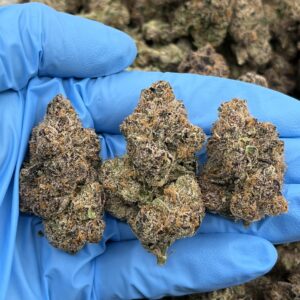 CANDY RUNTZ - LK1125CR1