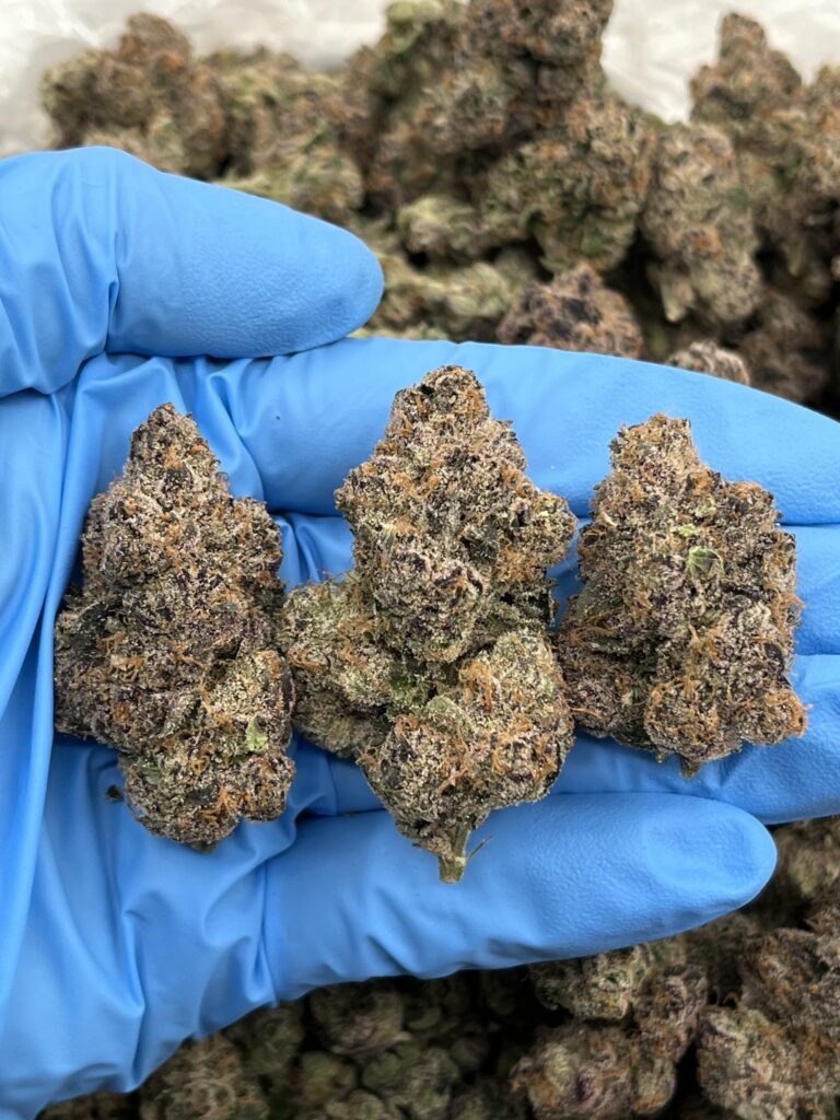 Candy Runtz Strain | Skunklamedia.com