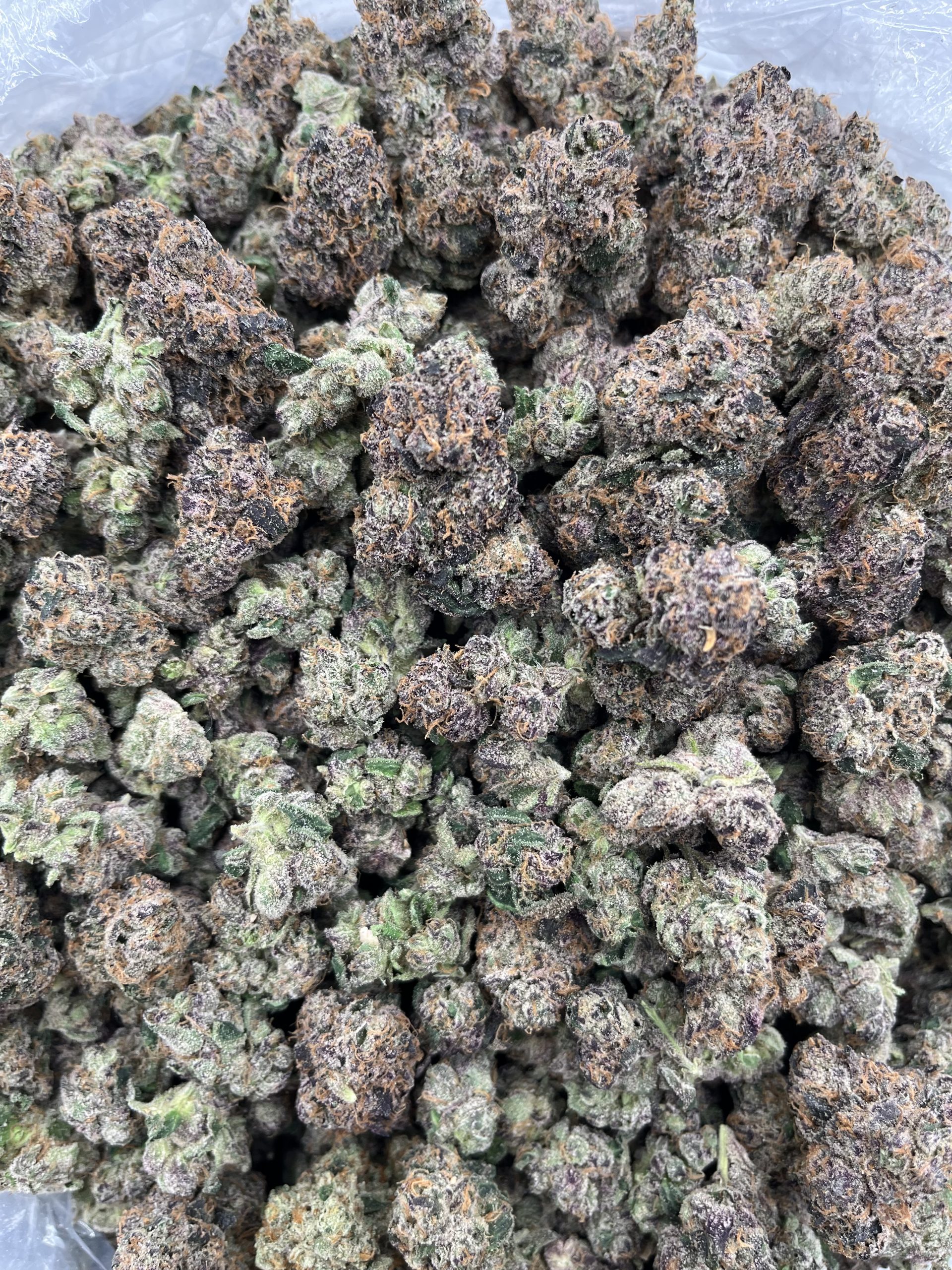 CANDY RUNTZ - LK1125CR1 - Image 2