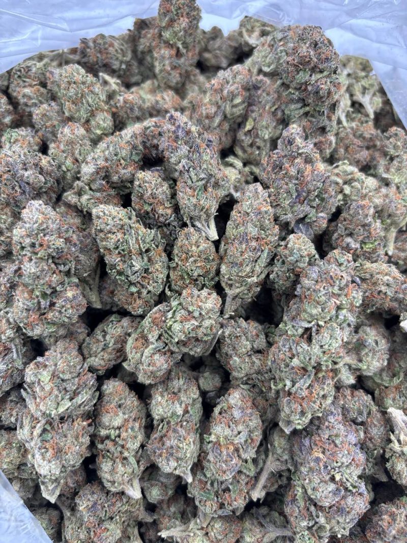 COSMIC GAS - AL1204CG - Image 2