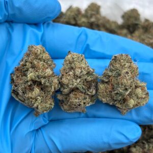 Green Apple Jolly Rancher Strain