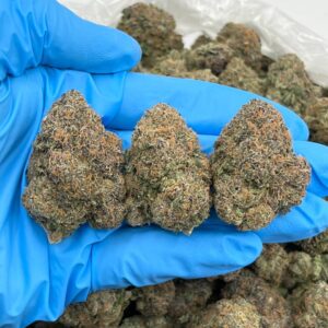 Lemon Warheadz Strain