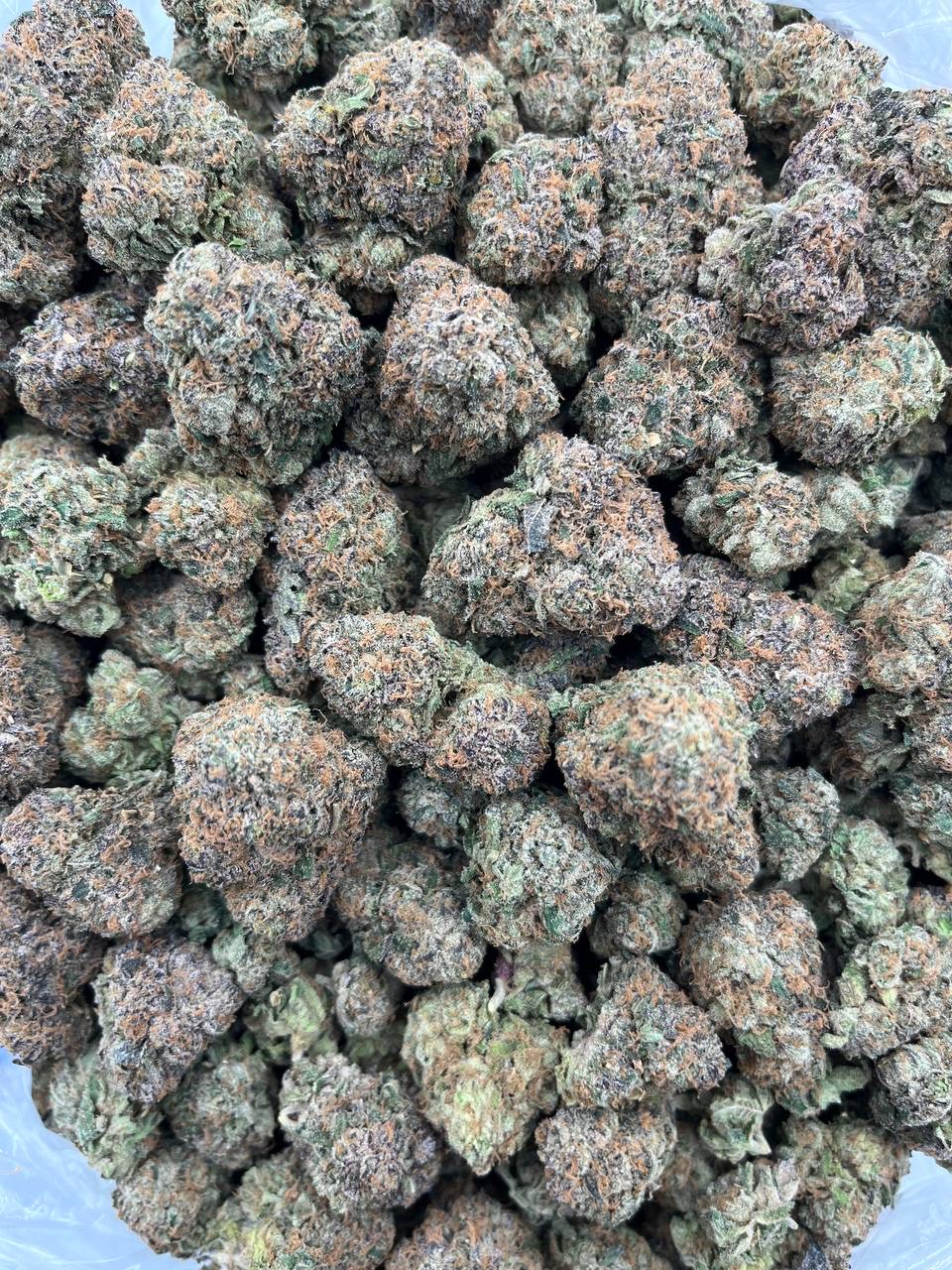 LEMON WARHEADZ - PY1124LC - Image 2