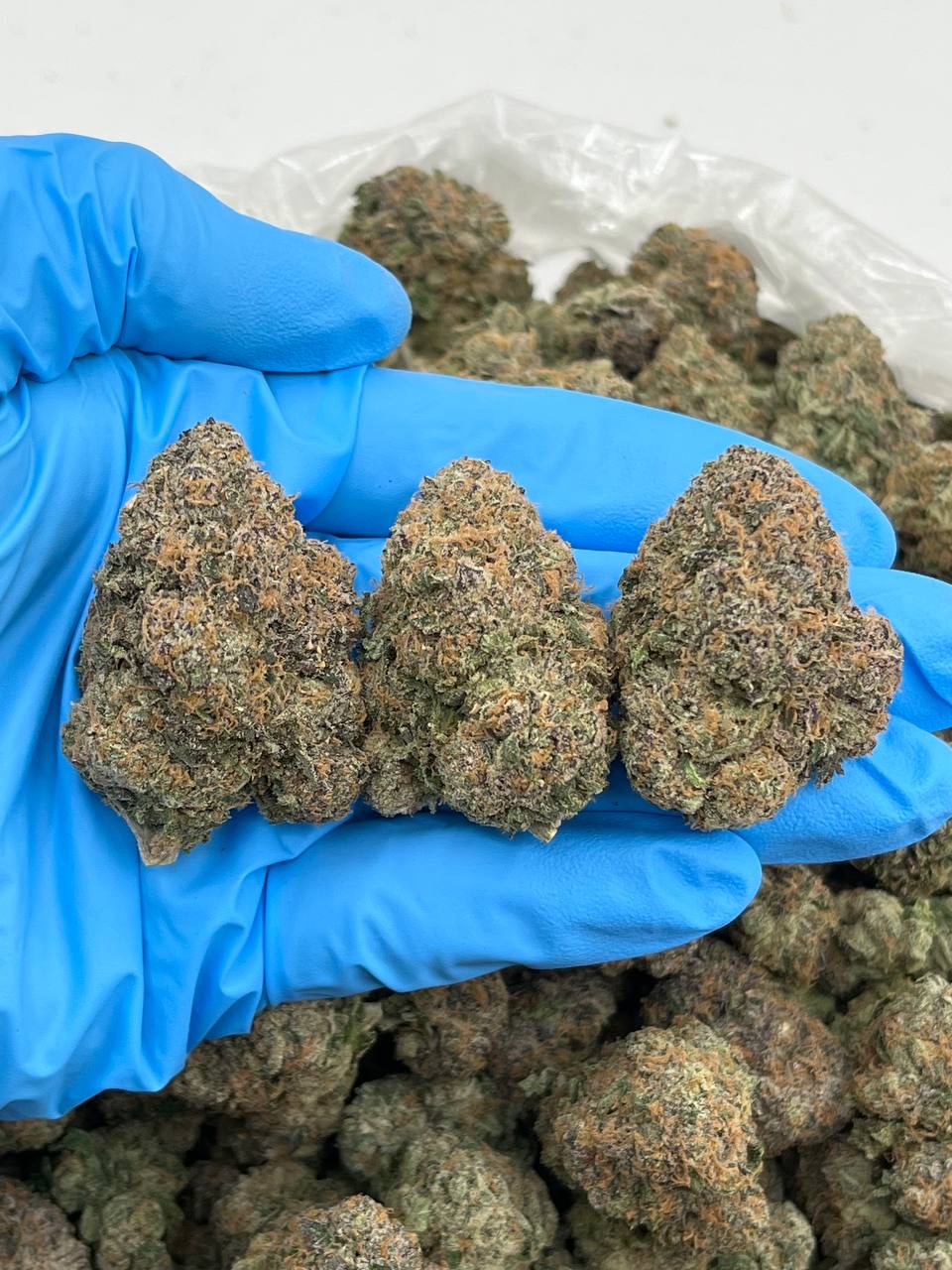 Lemon Warheadz Strain