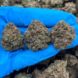 Stardew Valley strain