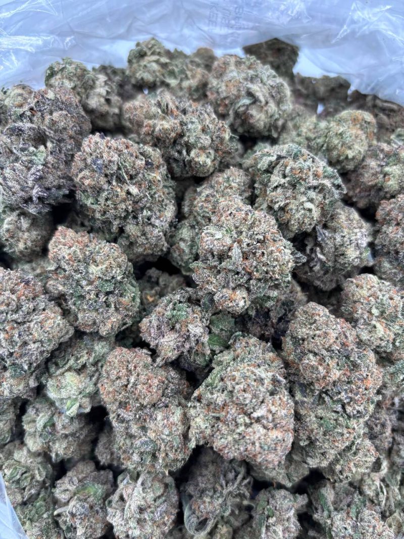 STRAWBERRY CHEWZ - DJ1215LC2 - Image 2