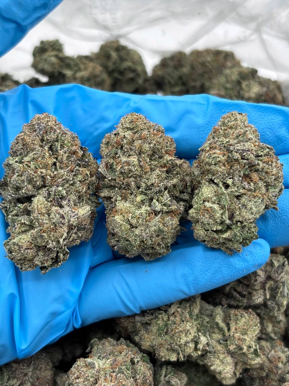 Strawberry Chewz strain