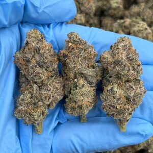 THUNDER CRASHERS - LK1125TC1