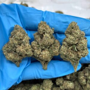 Berry Crumble strain