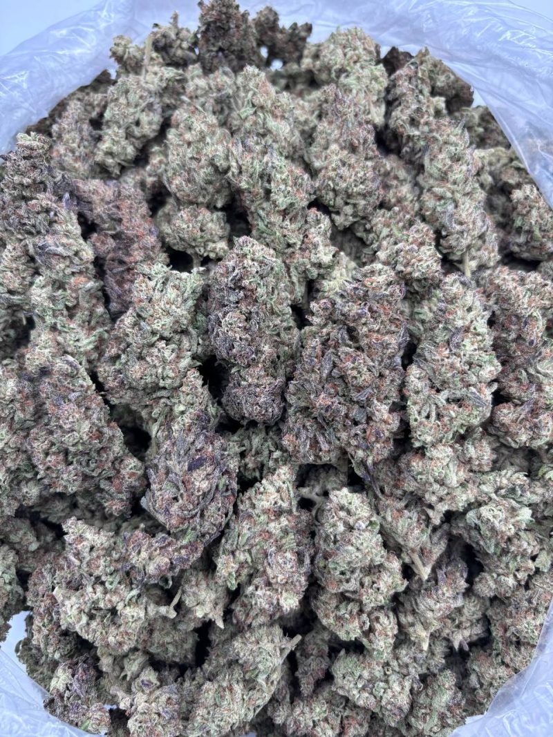 Government Oasis strain