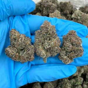 Hyper Spacecats strain