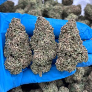 Mile High Slurpee strain