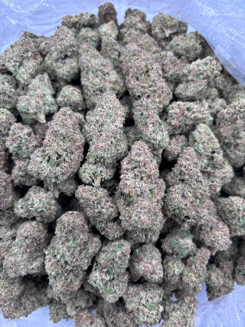 Mile High Slurpee strain