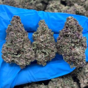 Sugar Berry Beltz strain