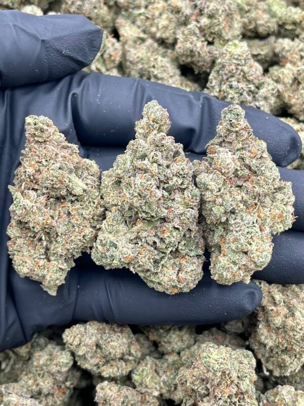SUNSET ZOAP – PH803SS Sunset Zoap strain