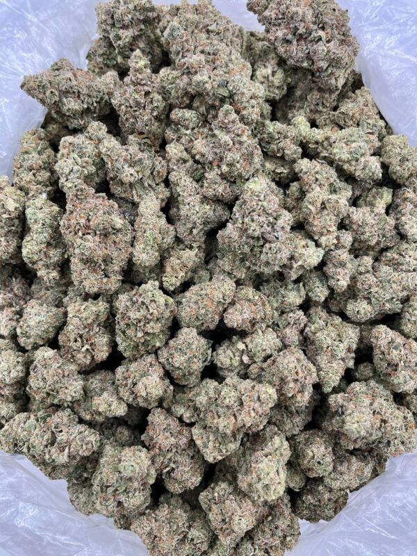 SUNSET ZOAP – PH803SS Sunset Zoap strain