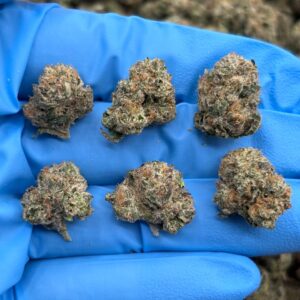 Spring St Candy Smalls