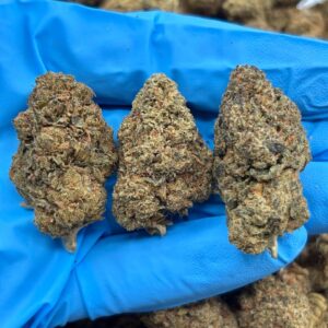 banana cream pudding weed