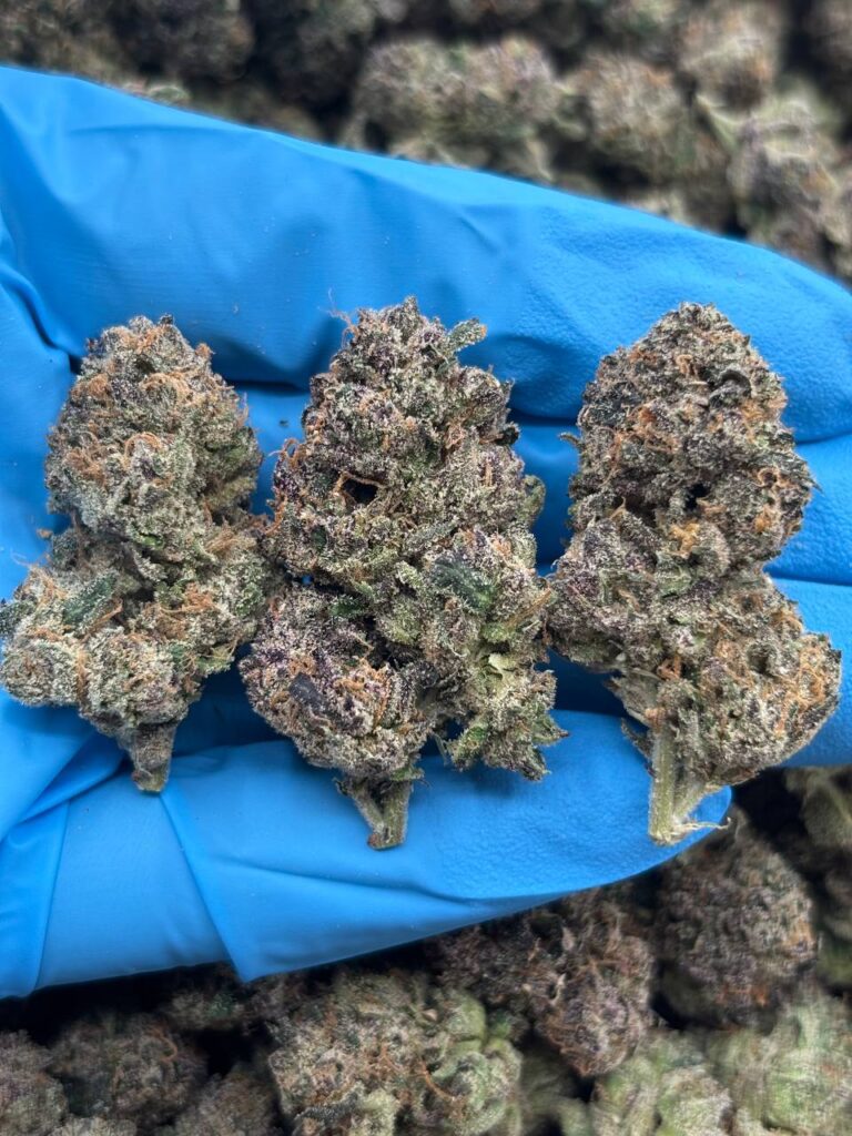 Home Cherry Razz strain