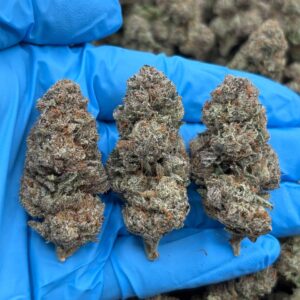 Breakdown Purple Candy strain