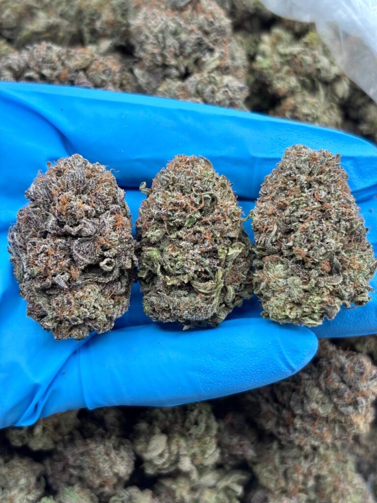 Bubba Kush strain