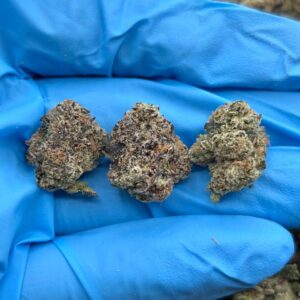 Candy Cane Smalls strain