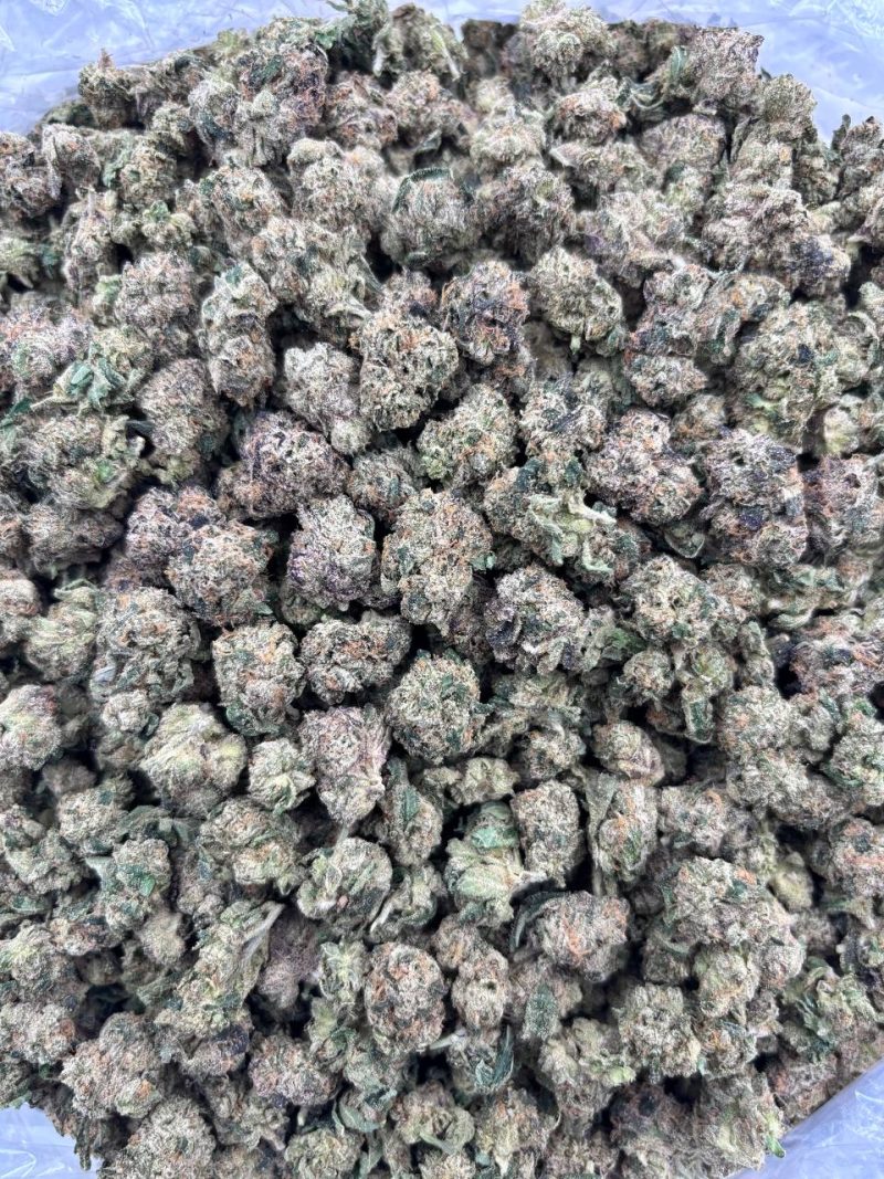 CANDY CANE SMALLS - LK324CS 2 Candy Cane Smalls strain