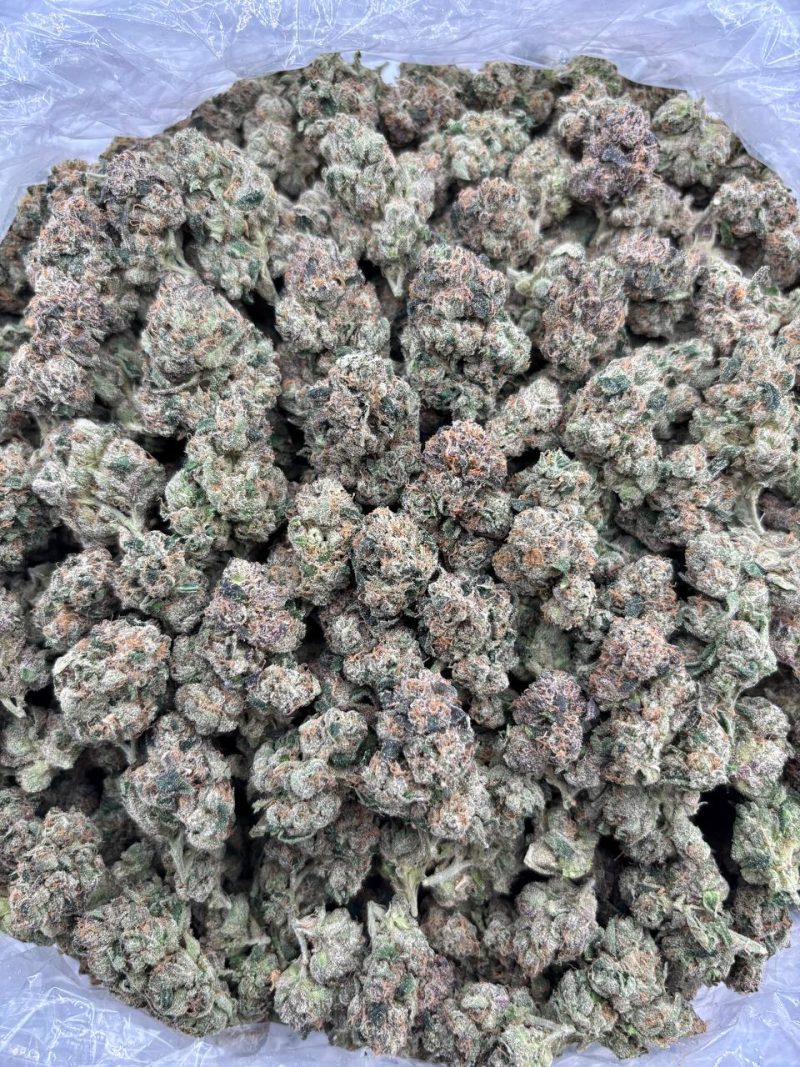 CHERRY GELATO - LK324CG Cherry Gelato Strain