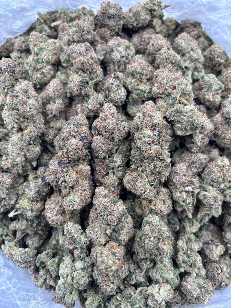 Creamy Hazelnut Gelato Strain