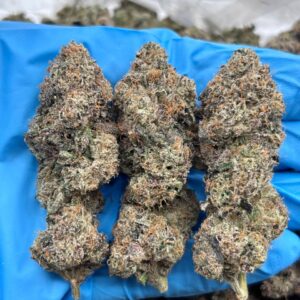 Cinnamon Roll strain