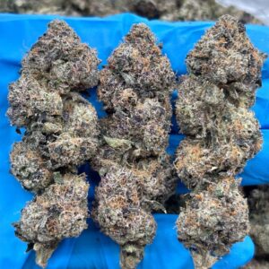 Fruit Gushers strain