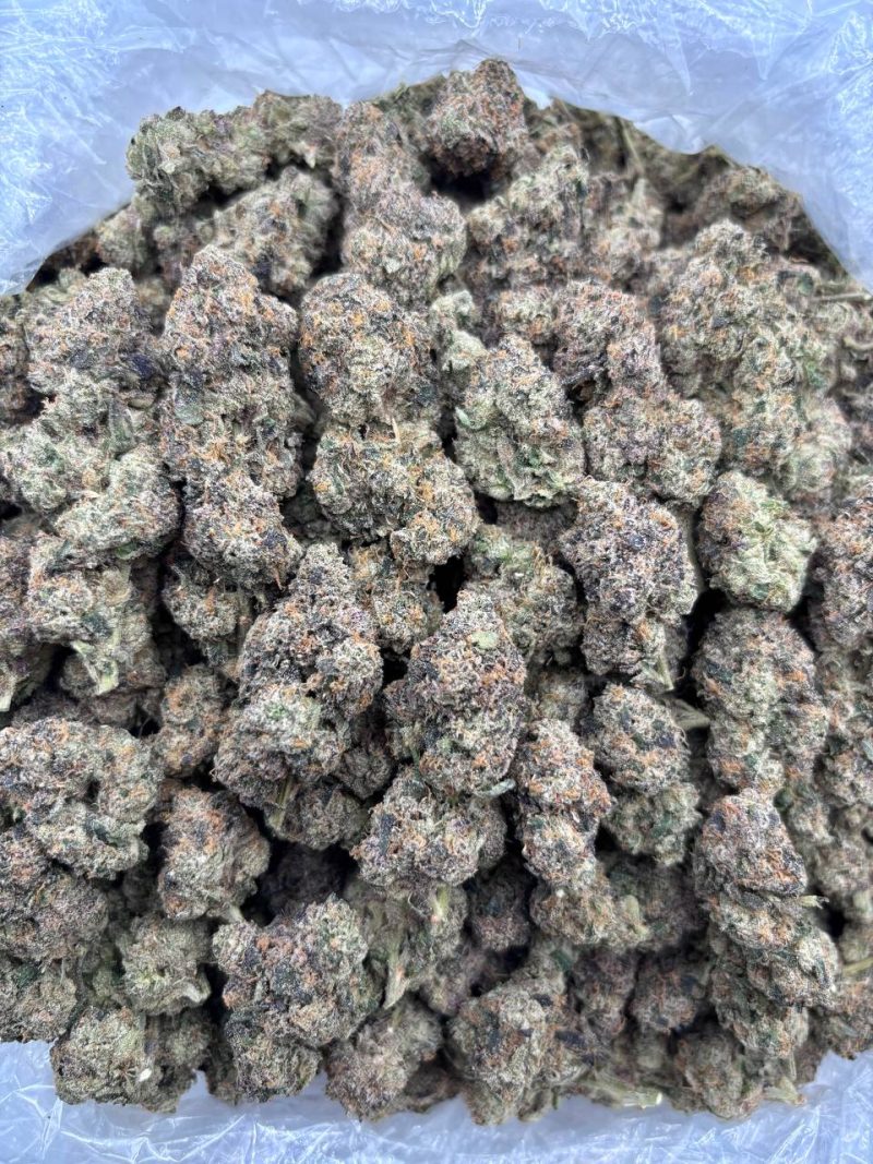 FRUIT GUSHERS - LK324FG Fruit Gushers strain