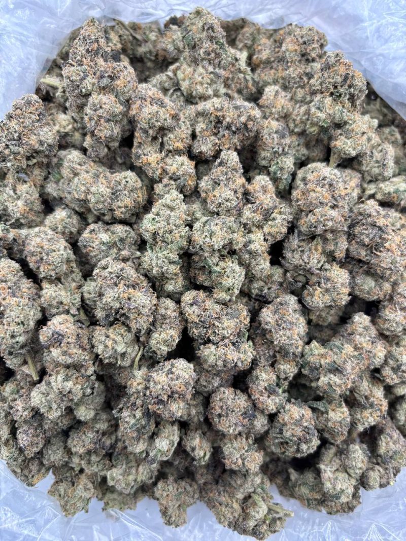 FUDGE SUNDAE - LK324FS Fudge Sundae strain