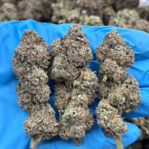 Funfetti Candy strain