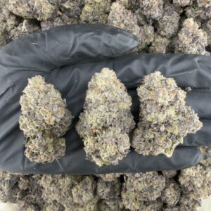 GMO Super Strain