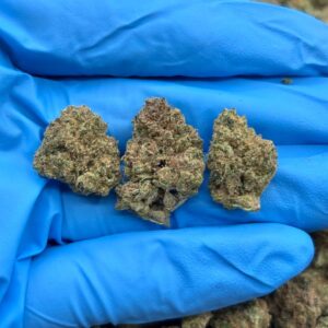 Jack Herrera Smalls strain