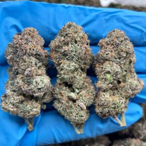 Jamberry Kush strain