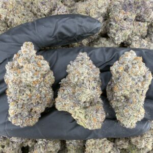 jealousy x white runtz strain