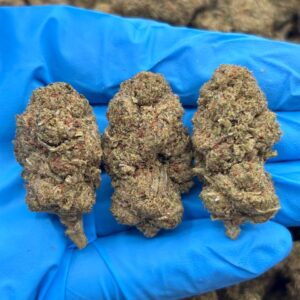 Jedi Mind Trickz strain