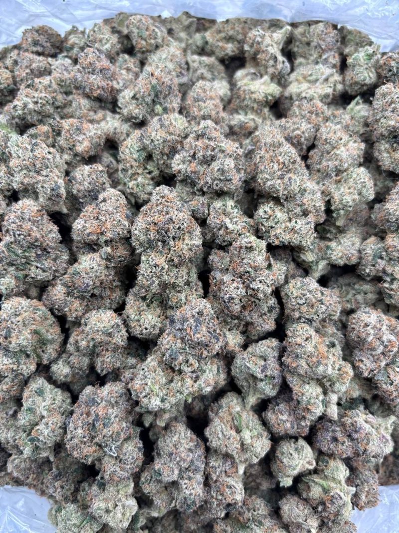 JUNEBERRY - LK324JB Juneberry strain