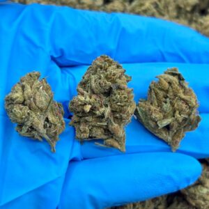 Lemon Skittles Pop Strain