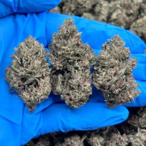 riddler weed strain