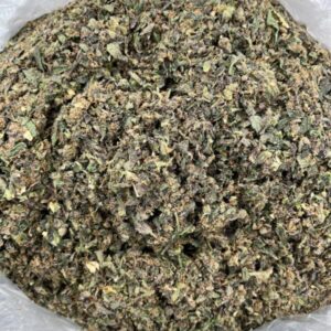 Vanilla Shake strain online